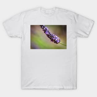 Close-up of lavender T-Shirt